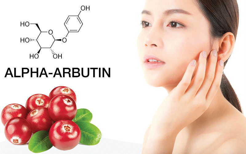 tinh chất arbutin