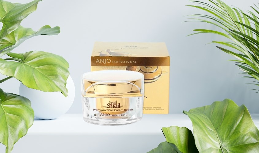 Kem dưỡng chống lão hoá cho da dầu Anjo Snail
